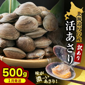 【ふるさと納税】1月発送 北海道 厚岸産 訳あり 活あさり 500g アサリ 魚貝 海鮮 大粒 美味しい 栄養 旨み 砂出し 水洗い 冷蔵 冷凍保存可能 便利　お届け：2026年1月8日～30日