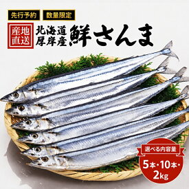 【ふるさと納税】サンマ 内容量が選べる 産地直送 北海道 厚岸産 刺身用 鮮さんま 5本・10本・2kg 【厚岸漁業協同組合】 [ サンマ 秋刀魚 さんま 鮮魚 魚介類 海産 生さんま ]　お届け：2026年9月20日～11月10日まで