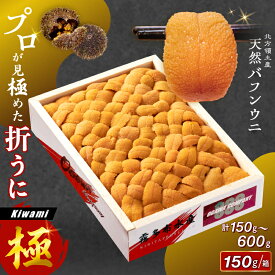 【ふるさと納税】【内容量が選べる】うに プロ厳選 箱詰め 折うに 生うに 刺身 濃厚 天然 バフンウニ 新鮮 生食 食品 うに丼 海鮮 海産物 魚介 グルメ ご褒美 人気 おすすめ プレゼント おつまみ 晩酌 寿司 パスタ ギフト 贅沢 北海道 浜中町 送料無料