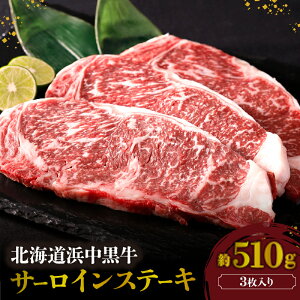 yӂ邳Ɣ[Łzl T[CXe[L 3 510g Hi    ܂ ӂ ٓ BBQ ~ Ԑg lC  Y  O v[g ґ Ⓚ kC l