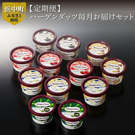 【ふるさと納税】【定期便】ハーゲンダッツ毎月お届けセット（計144個！）