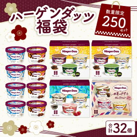 【ふるさと納税】ハーゲンダッツ 福袋 数量限定 大人の贅沢 アイスクリーム アイス スイーツ デザート チョコ 高級 贅沢 詰め合わせ 大容量 大量 食べ比べ おやつ 人気 おすすめ 正月 新春 2026年 初売り 初売 お年賀 贈答 ギフト 国産 牛乳 ミルク 北海道 浜中町 冷凍