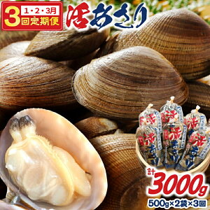 yӂ邳Ɣ[ŁzA 1E2E3 ͂ s\ Ԍ lY   500g × 2 × 3 d3kg kt ① L L CN oς X` `  pX^  