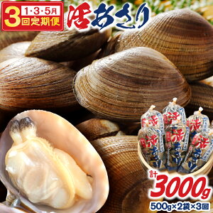 yӂ邳Ɣ[Łzu 1 E 3 E 5 ͂ s\ E Ԍ lY   500g × 2 × 3 d 3kg AT kt ① L L CN oς X` `  