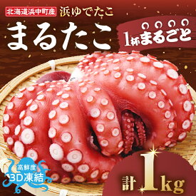 【ふるさと納税】≪期間・数量限定・発送時期が選べる≫浜ゆでたこ「まる たこ」1kg以上×1袋 北海道 浜中町産 新物 たこ タコ 一匹 一杯 1匹 下足 刺身 唐揚げ おかず おつまみ 真空パック 国産 海鮮 海の幸 海産物 新鮮 人気 おすすめ 贈り物 ギフト 送料無料