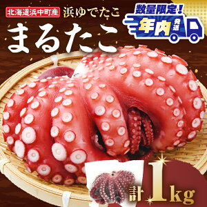 yӂ邳Ɣ[ŁzyNzԁEʌEIׂlłu܂ v1kgȏ×1 kC lY V  ^R C t 1C  hg g  ܂ 