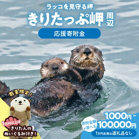 【ふるさと納税】【寄附額が選べる】ラッコを見守る岬「きりたっぷ岬」周辺の環境整備 返礼品なし 1,000円～100,000円 霧多布岬 らっこ 保護 環境保全 安心安全 野生動物 共生 まちづくり 支援 自然 観光 観光地づくり 遊歩道 展望台 北海道 浜中町