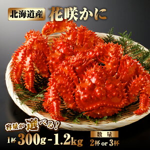 yӂ邳Ɣ[ŁzyeʂIׂzkCY ԍ炩 ԍKj Jj 2t ` 3t 1t 300`1.2kg Y l䥂 VN {C CN  CY  O ґ ɂ݂ Z ܖ  G