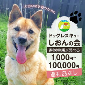 【ふるさと納税】【野犬の保護活動】【寄附額が選べる】ドッグレスキュー しおんの会 返礼品なし 1,000円 ～ 100,000円 NPO法人 支援 保護 犬 ドッグ 動物愛護 ペット 愛犬 野良犬 ボランティア 命を守る 応援 里親 殺処分ゼロ 譲渡 北海道 浜中町