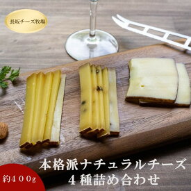 【ふるさと納税】北海道標茶町　長坂牧場チーズ工房　本格派ナチュラルチーズ4種詰め合わせセット【 ナチュラルチーズ 乳製品 発酵 熟成 グルメ ギフト お取り寄せ 標茶町 北海道 】