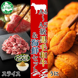 楽天市場 ウニ 飼育の通販