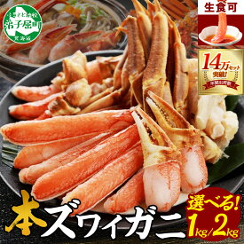 【ふるさと納税】 年内配送 12/23まで受付中 カニ 蟹 ズワイ蟹しゃぶ1kg 約3−4人前 2kg 約6−8人前 生食 生食可 生ズワイガニ カニしゃぶ かにしゃぶ ズワイ蟹 ずわい蟹肉 ずわいがに カット済み 送料無料 期間限定 北海道 弟子屈町（クラウドファンディング対象）
