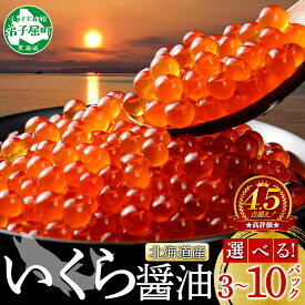 【ふるさと納税】 年内配送 12月20日まで受付 いくら醤油 240g 480g 800g 小分け いくら醤油漬け イクラ 天然 いくら イクラ 北海道産 魚介 魚卵 鮭 サケ しゃけ ギフト お歳暮 正月 北海道 弟子屈町（クラウドファンディング対象）