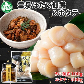 【ふるさと納税】3549. 雲丹ほたて佃煮 100g ホタテ 500g 小分け 雲丹 ウニ うに 帆立 ホタテ ほたて 佃煮 つくだ煮 瓶詰 ご飯のお供 酒の肴 おつまみ 珍味 海鮮 グルメ お取り寄せ ギフト 贈り物 冷凍 送料無料 北海道 弟子屈町