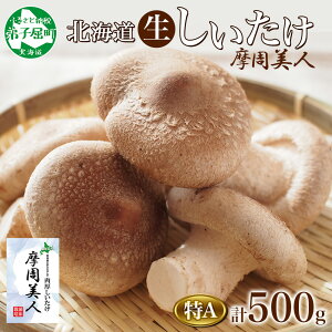 yӂ邳Ɣ[Łz1803.  A Gi 2pbN v500g l VC^P ő  VC^P ̂ LmR ۏ͔| 嗱   BBQ o[xL[  ܂ Mtg 