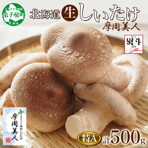yӂ邳Ɣ[Łz1805. nl  A Gi 2pbN v500g l VC^P ő  VC^P ̂ LmR ۏ͔| 嗱   BBQ  l ̂ s 