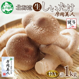 【ふるさと納税】1950. 無地熨斗 しいたけ 特A 秀品 4パック 計1kg 摩周美人 シイタケ 椎茸 生しいたけ 生シイタケ きのこ キノコ 菌床栽培 大粒 肉厚 鍋 BBQ おかず 熨斗 のし 名入れ不可 送料無料 北海道 弟子屈町 12000円