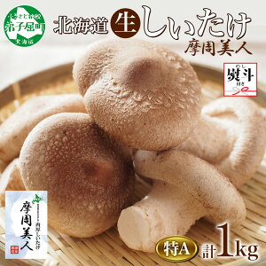 yӂ邳Ɣ[Łz1950. nl  A Gi 4pbN v1kg l VC^P ő  VC^P ̂ LmR ۏ͔| 嗱   BBQ  l ̂ s 