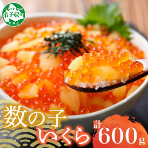 yӂ邳Ɣ[Łz 2979. ̎qE ݖЂ 100gO 6pbN v600g CN CN i ̎q    傤Â CN   lC O ґ Mtg Ε  