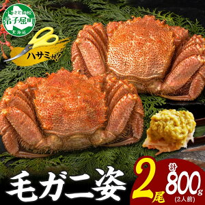 yӂ邳Ɣ[Łz3357. Jj I ъI 2 v800gO HוKChEpnT~t Jj  I CN {C Lv o[xL[ BBQ  kC q