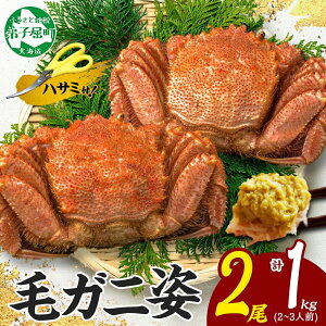 yӂ邳Ɣ[Łz3319. Jj I ъI 2 v1kgO HוKChEpnT~t Jj  I CN {C Lv o[xL[ BBQ  kC q