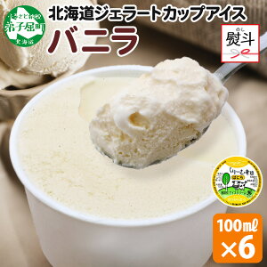 【ふるさと納税】 2341. 無地熨斗 くりーむ童話 カップアイス バニラ 100ml×6個 アイスクリーム アイス 手作り スイーツ おやつ ご褒美 デザート 牛乳 ミルク 贈り物 gift ギフト プレゼント お取