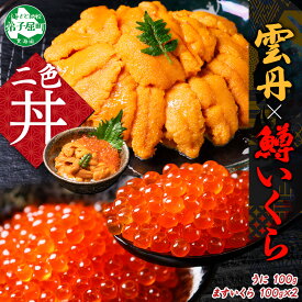 【ふるさと納税】 3619. 雲丹 100g 鱒いくら醤油漬け 100g×2個 セット うに ウニ チリ産 ミョウバン不使用 冷凍 いくら イクラ ます マス いくら醤油 お取り寄せ 魚卵 海鮮丼 二色丼 海鮮 手巻き寿司 寿司 送料無料 北海道 弟子屈町
