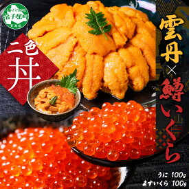 【ふるさと納税】3618. うに 100g 鱒いくら醤油漬け 100g セット ウニ チリ産 冷凍 雲丹 ますいくら 鱒 マス イクラ いくら いくら醤油漬け 海鮮 海鮮丼 送料無料 北海道 弟子屈町