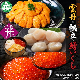 【ふるさと納税】 3627. うに 100g 鱒いくら醤油漬け 100g ホタテ 100g セット ウニ チリ産 冷凍 雲丹 いくら イクラ ますいくら ほたて 帆立 海鮮 海鮮丼 三色丼 送料無料 北海道 弟子屈町
