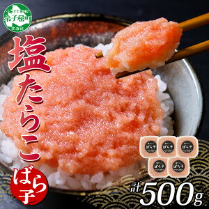 yӂ邳Ɣ[Łz3002. ΂q 炱 100g×5 v500g  oq oR Hה Lq ^R   т̂ ܂ ̍  CN Mtg gift  kC q