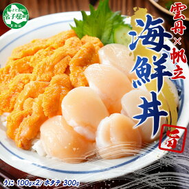 【ふるさと納税】 3406.うに 200g ホタテ300g ほたて ウニ チリ産 冷凍 セット 4人前 ファミリー 雲丹 帆立 大粒 生ほたて 海鮮 送料無料 北海道 弟子屈町