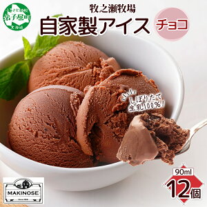 【ふるさと納税】3221. 牧之瀬牧場 自家製アイス チョコ 90ml 12個 アイス 氷菓子 チョコ味 チョコレート フレーバーアイス 牧場 手作り セット おやつ デザート スイーツ 冷凍 ギフト 送料無料