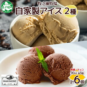 【ふるさと納税】3225. 牧之瀬牧場 自家製アイス 2種 黒糖 チョコ 各3個 計6個 黒糖アイス チョコアイス 生乳 牛乳 フレーバーアイス 牧場 デザート 手作り セット スイーツ 冷凍 送料無料 北海
