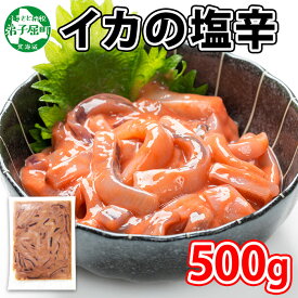 【ふるさと納税】 442.イカの塩辛 500g イカ スルメイカ いか 珍味 海鮮 魚介 送料無料 6000円 北海道 弟子屈町