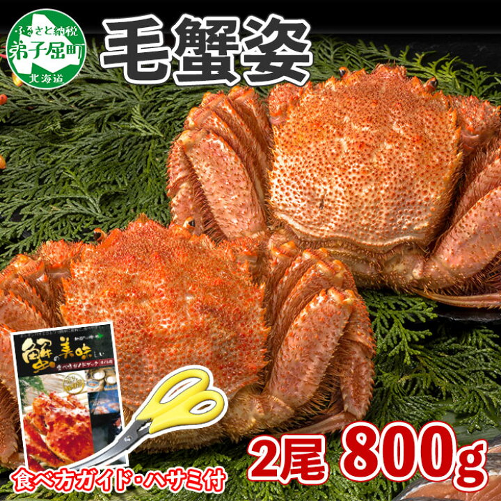 楽天市場 ふるさと納税 16 カニ 蟹 毛蟹 2尾 計800g前後 食べ方ガイド 専用ハサミ付 カニ かに 蟹 海鮮 ボイル 送料無料 円 北海道 弟子屈町 北海道弟子屈町