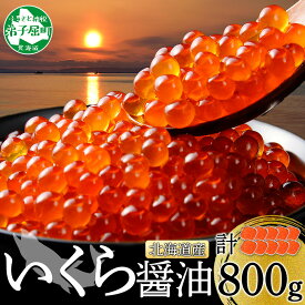 【ふるさと納税】 3347. いくら醤油 80g×10個 北海道産 イクラしょうゆ漬け 小分け いくら イクラ 海鮮 魚介 魚卵 鮭 サケ しゃけ 寿司 海鮮丼 手巻き寿司 グルメ ギフト 贈答用 お歳暮 お中元 正月 お祝い 送料無料 北海道 弟子屈町