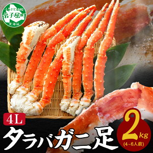 yNz\zyӂ邳Ɣ[Łz 3179.I {C^o 2kg 2L 4L ɓ Jj ^oI ΊI ^oKj r ΂ {C Lv o[xL[ BBQ  kC q