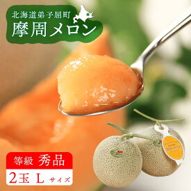 【ふるさと納税】☆先行予約☆3074.摩周メロン秀品2玉入り(1玉1.3kg以上) 8月上旬より順次発送　果物 12,000円