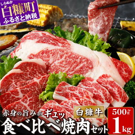 【ふるさと納税】 ＼北海道産 牛肉 500g / 1kg ふるさと納税 焼肉 ふるさと 焼き肉 焼肉 焼肉セット 訳あり 不揃い バラ モモ 大判ロース 小分け 便利 3種 セット 食べ比べ 人気 ランキング おすすめ 家庭用 贈答用 ギフト 白糠牛 北海道 白糠町 白糠