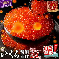 【ふるさと納税】＼総合1位常連／ 年内配送 12/19まで受付 鮭 いくら...