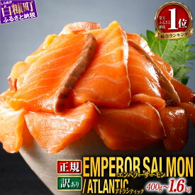 【ふるさと納税】＼総合1位／ サーモン エンペラーサーモン 900g アトランティック 800g/1.6kg 小分け 訳あり ふるさと納税 刺身 ふるさと 納税 鮭 冷凍 さけ サケ 海鮮 魚 生食サーモン 人気 ランキング 多数入賞 北海道 白糠町 白糠