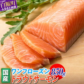 【ふるさと納税】高評価 4.70 国産ワンフローズントラウトサーモン 850g ／ 訳あり増量品 1.2kg ふるさと納税 魚 サーモン 鮭 刺身 さけ サケ 人気 ふるさと 海鮮 海鮮食品 魚介類 魚介 北海道 白糠町