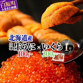 【ふるさと納税】【発送時期が選べる】「生うに 100g／200g 」× 大人気「いくら醤油漬(鮭卵) 200g(200g×1)／400g(200g×2) 」のセット ふるさと納税 海鮮 いくら イクラ 鮭いくら 鮭イクラ 鮭 うに 生ウニ 海鮮食品 魚卵 魚 魚介 小分け いくらの町 北海道 白糠町
