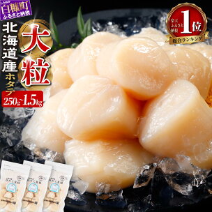 ＼総合1位／ ふるさと納税 ホタテ 生食用 北海道産 大...
