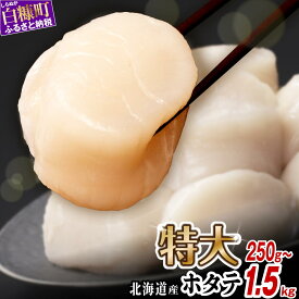 【ふるさと納税】高評価4.92★ ふるさと納税 ホタテ 北海道産 特大サイズ 生食用 小分けジップで便利【選べる容量】750g/1kg/1.5kg 小分け ジャンボサイズ 大粒 パック ほたて 刺身 北海道産 帆立 貝柱 生食用 海鮮 海鮮丼 魚介 貝 ふるさと 贈答用 人気 ランキング