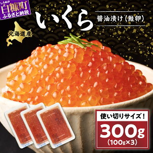 yӂ邳Ɣ[ŁzݖЍ 300g(100g×3pbN) CN  ݖ  ݖЂ   ikura ݖ Ⓚ kC ݖ lC D]i kC