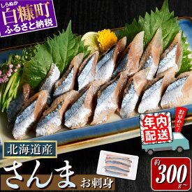【ふるさと納税】北海道産「刺身さんま」2-4p 海鮮 魚介 北海道 刺身 小分け 人気 年内お届け サンマ