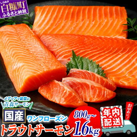 【ふるさと納税】年内配送 12/18まで受付 サーモン 国産 トラウトサーモン 800g / 1.6kg ふるさと納税 魚 海鮮 鮭 刺身 さけ サケ シャケ おすすめ ふるさと 納税 海鮮食品 魚介類 魚介 海鮮丼 お正月 お祝い 人気 ランキング 贈答用 ギフト 年末年始 北海道 白糠町 白糠