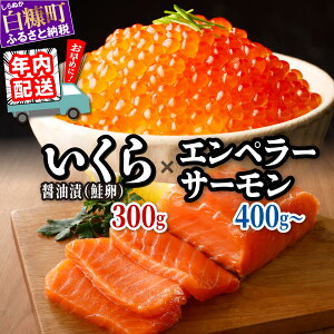 yӂ邳Ɣ[Łz ݖЍ 300g(100g×3pbN)×Gy[T[ 400g /󂠂 900g ̃Zbg kC Y ӂ邳Ɣ[  CN  CN  H n 炱 CN 