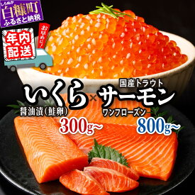 【ふるさと納税】 醤油漬鮭いくら 300g(100g×3パック) /600g(100g×3パック×2セット)×サーモン 北海道 国産 トラウトサーモン 800g / 1.6kg のセット ふるさと納税 いくら イクラ 鮭いくら 鮭イクラ 鮭 秋鮭 完熟卵 たらこ 海鮮 ごはんのお供 白米 海鮮食品 魚卵 魚